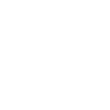 icons8-favorites-shield-100